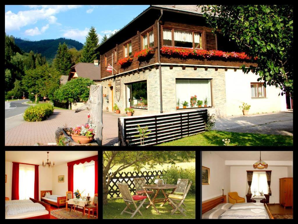مبيت وإفطار Ramingstein Casa Ema Austria المظهر الخارجي الصورة